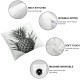 Ulloord Decorative Square Throw Pillow Cover Linen Cut Composition Tropical Plant Design Banana Nature White Holidays Comosus Pillow Case for Couch Sofa Home Decoration