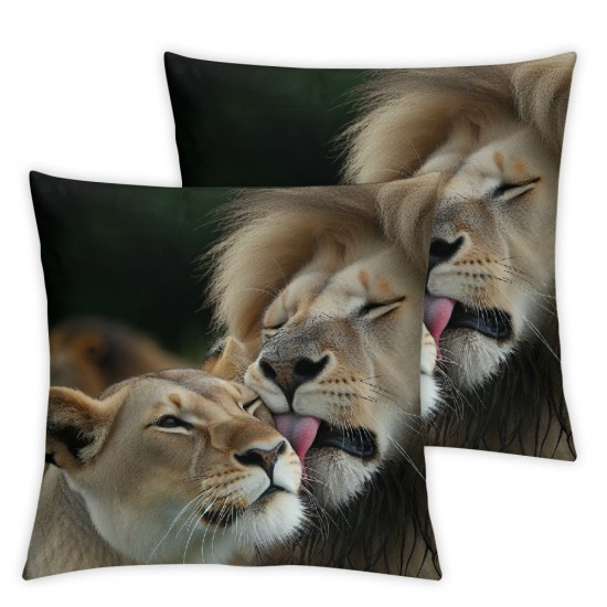 Square Throw Pillow Covers in Pillow Cases Decorative for Home Bedroom Sofa Creative Print Pillowcases Standard Size