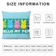 Ulloord Pillow Covers Decorations for Home Hello Pillows Decorative Throw Pillows Spring Decor