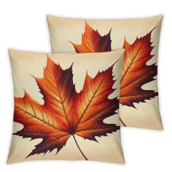 Ulloord Fall Pillow Covers for Fall Decor Pumpkin and Outdoor Pillows Decorative Pillows Thanksgiving Decorations Autumn for