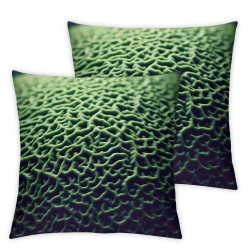 Bundles,  Velvet Soft Decorative Pillow Covers, Green,  Hypoallergenic Foam Pillow Inserts